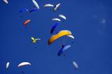 Gaggle over launch