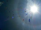 Gaggle over launch