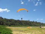 large_wombats_can_fly__02.jpg