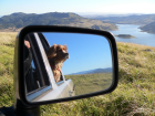 harry__lake_st_clair_web.jpg