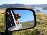 harry__lake_st_clair_web.jpg