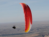 F Gravityweb